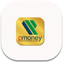 p_money